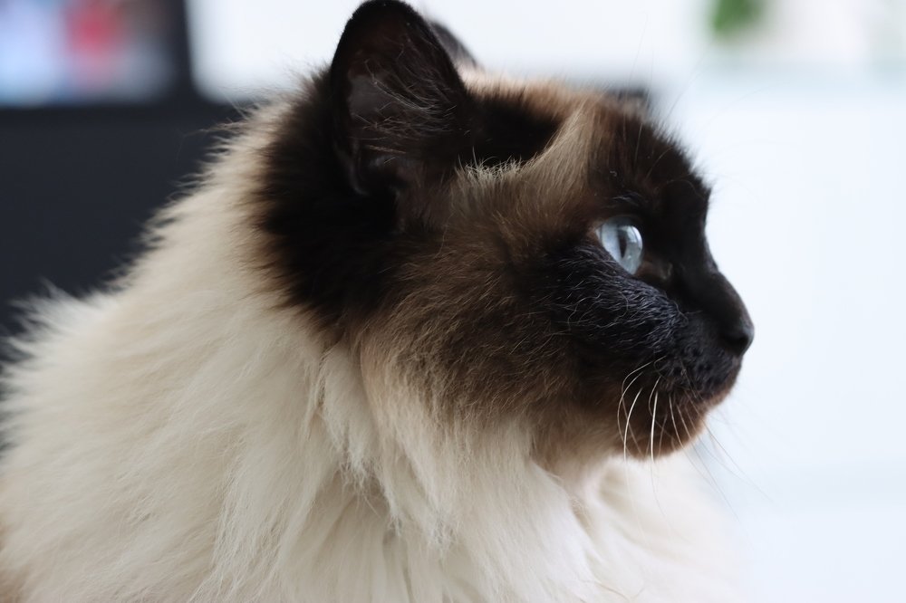 Photograph by Малика Маткарим