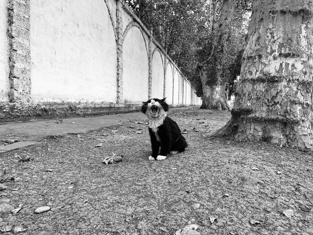 Photograph by Павел Сарвардинов