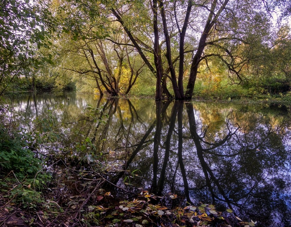 Photograph by Анатолий Салтыков