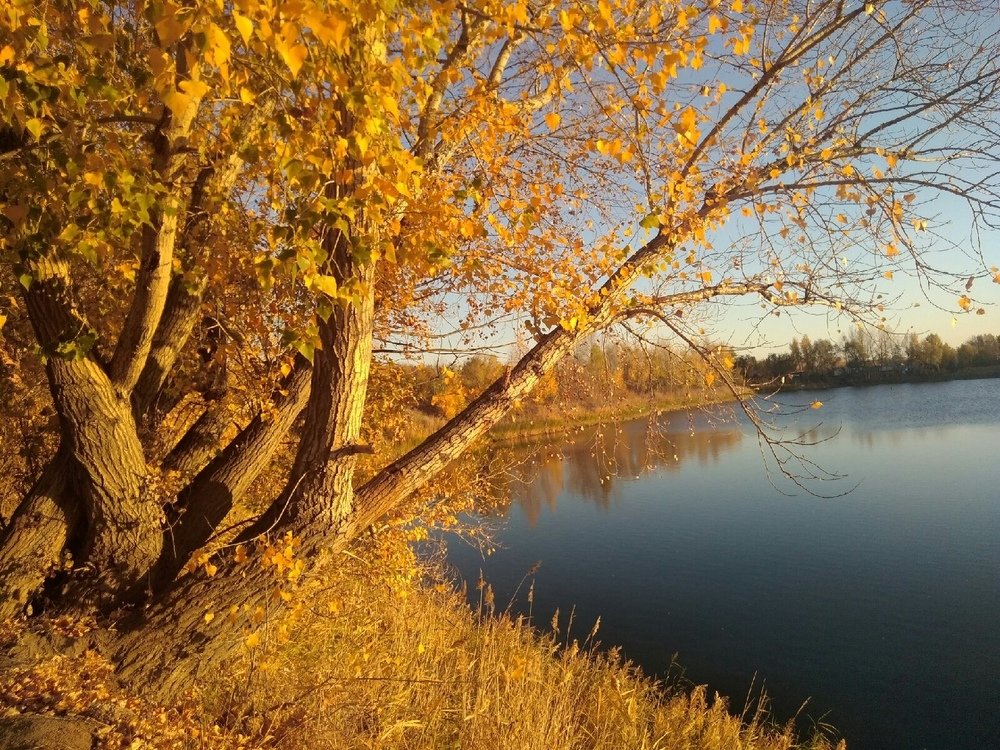 Photograph by Наталья Шкатова