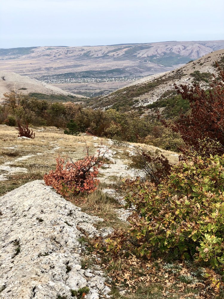 Photograph by Светлана Приходько