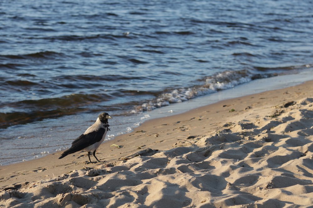 Photograph by Наталья Шкатова