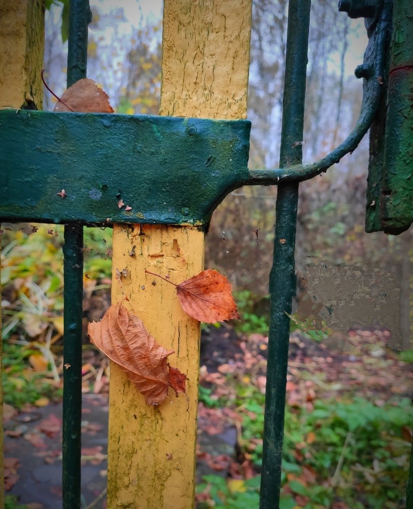 Осень. Беларусь.