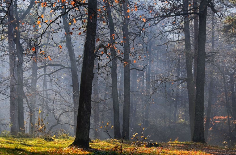 Фотография автора Милокост Алексей