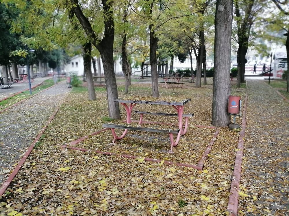 Фотография автора Bahaaddin Saber