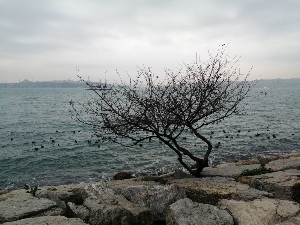 Фотография автора Bahaaddin Saber