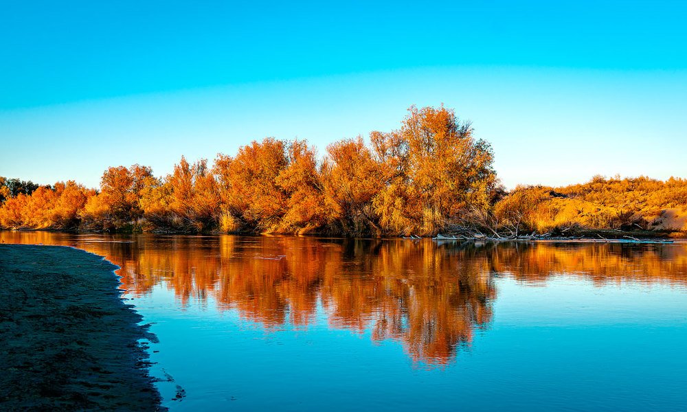 Photograph by Николай Химченко