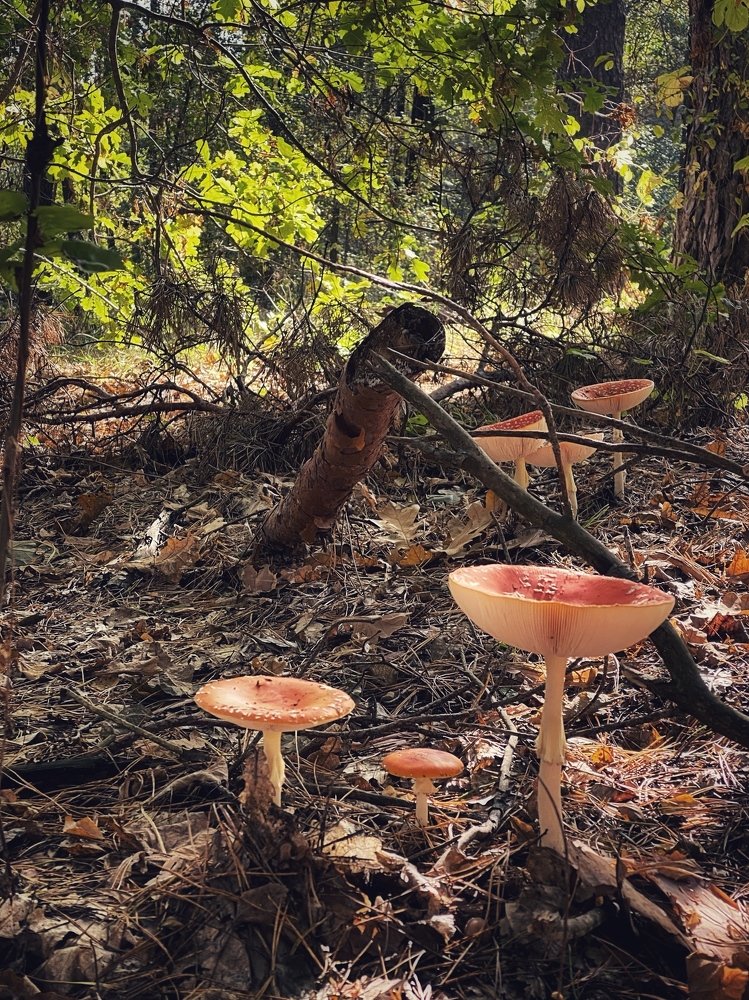 Photograph by Лилия Куюн