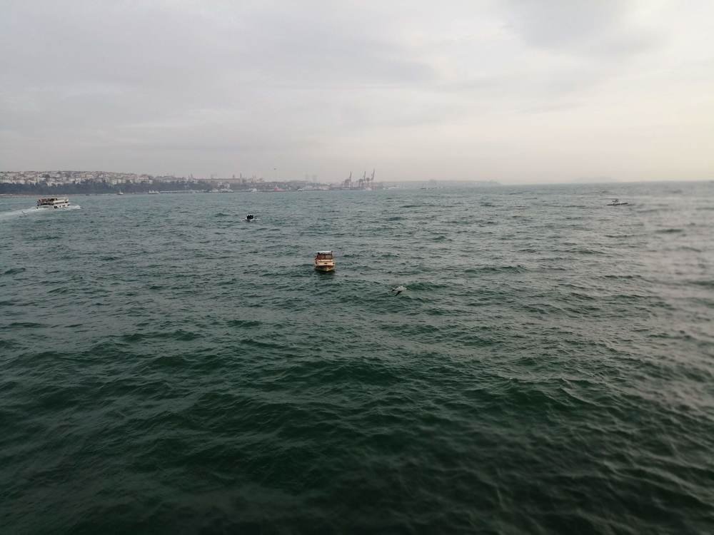 Фотография автора Bahaaddin Saber