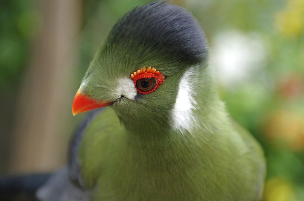 Photograph by Наталья Шумилова