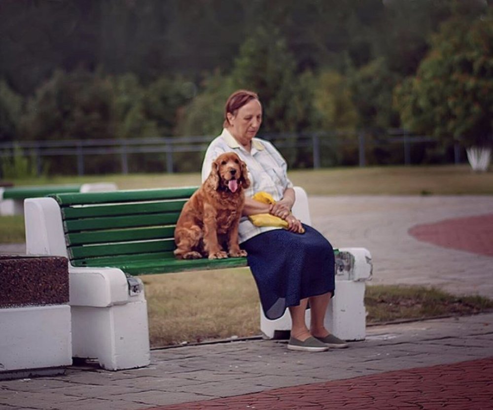 Фотография автора Виктория Шаманова