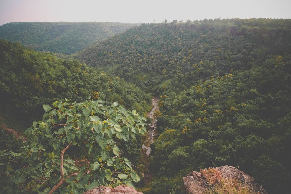 Фотография автора Vijay Richhiya