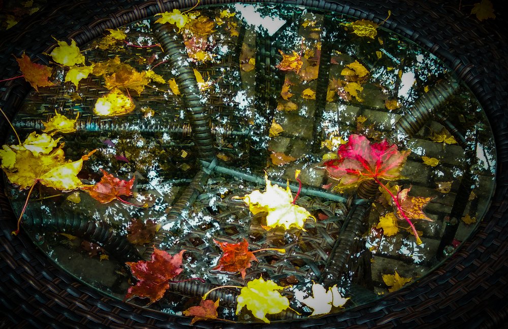 Фотография автора Olena Vorotyntseva