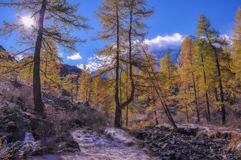 Осень в горах Алтая!