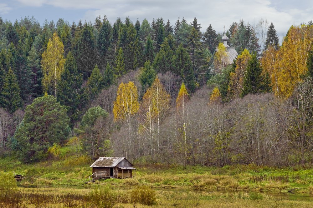 Осень в Василёво