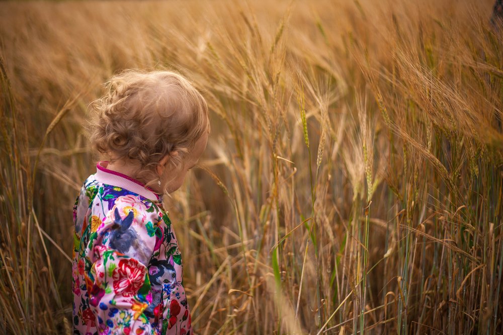 Photograph by Михаил Кондрухов