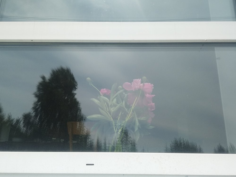 Photograph by Татьяна Рябова
