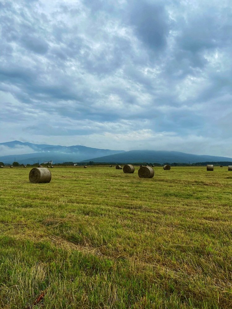 Photograph by Михаил Кондрухов