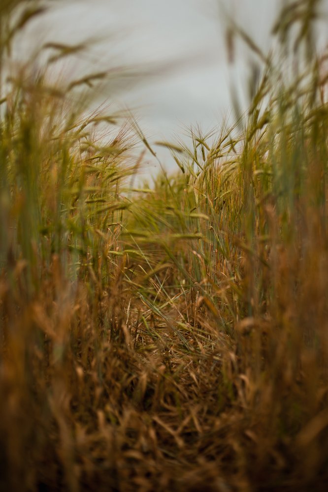 Photograph by Михаил Кондрухов