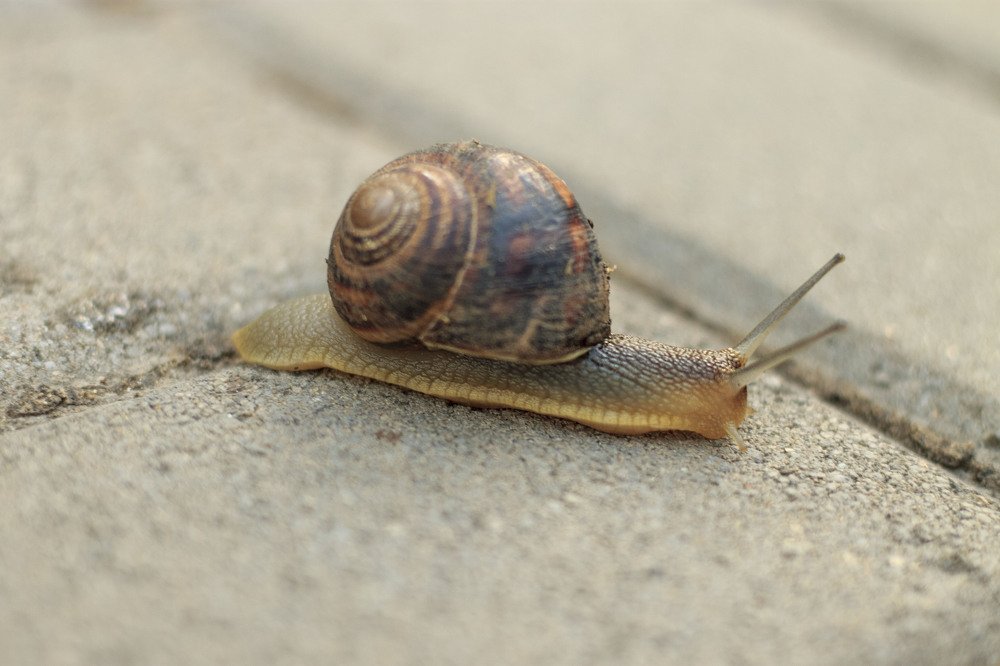 Photograph by Светлана Приходько