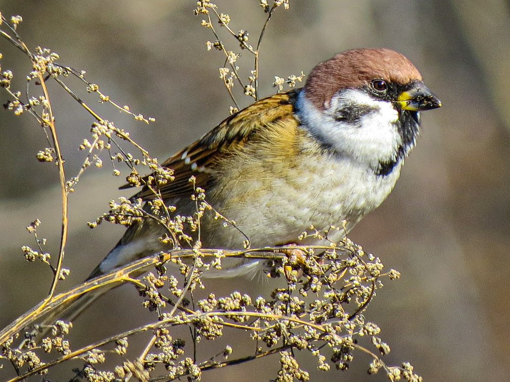 Photograph by Александр Молоцило