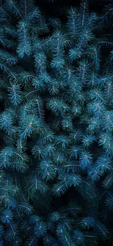 Photograph by Fadi Wael