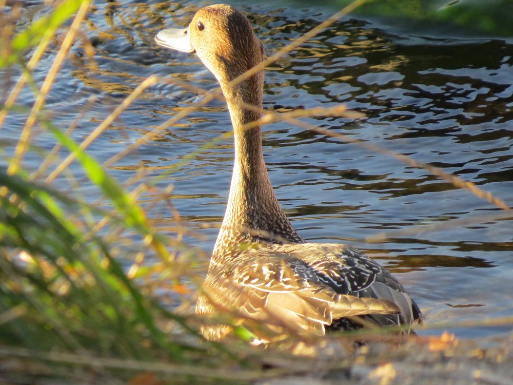 Photograph by Александр Молоцило