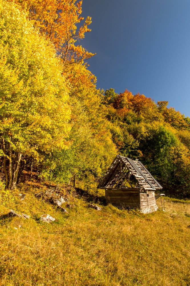 Photograph by Pucs Fongabe