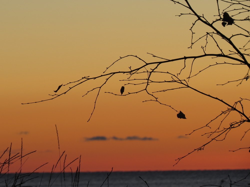 Photograph by Александр Молоцило