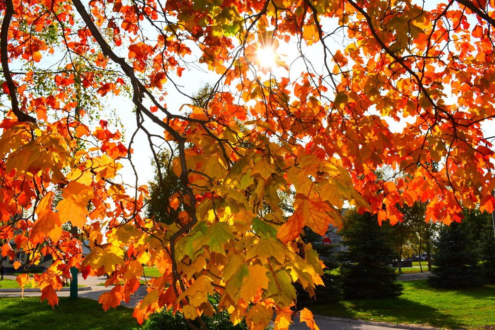 Photograph by Ксения Лебедева