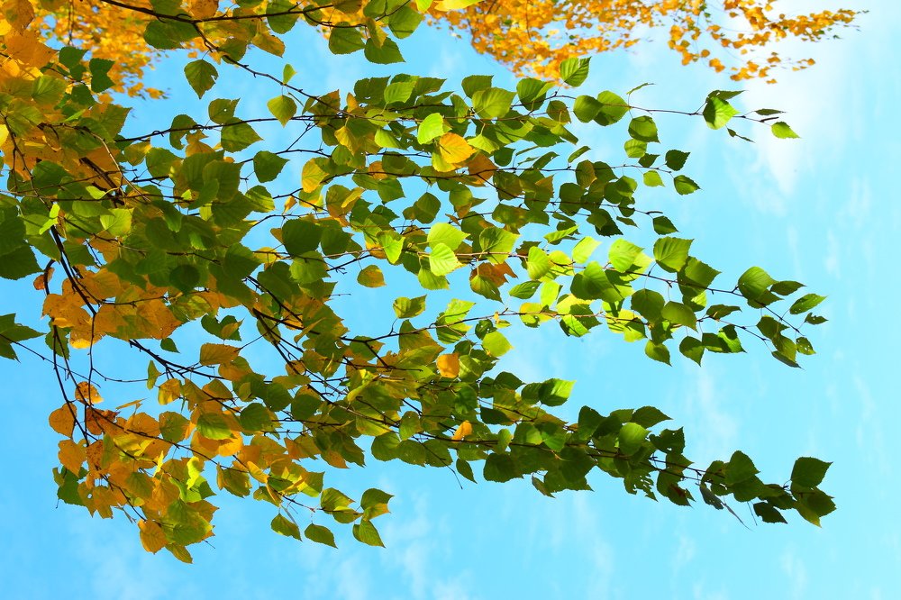 Photograph by Ксения Лебедева