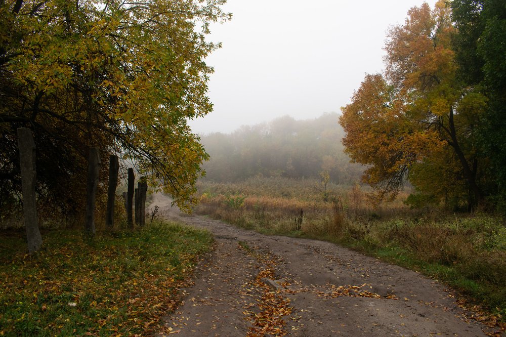 Photograph by Марина Голик