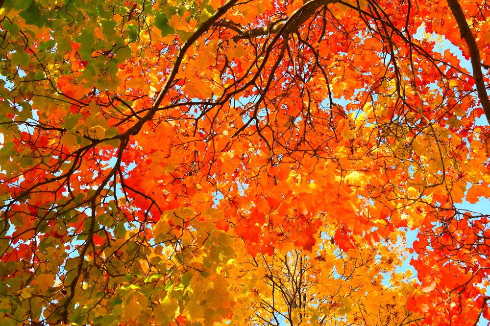 Photograph by Ксения Лебедева