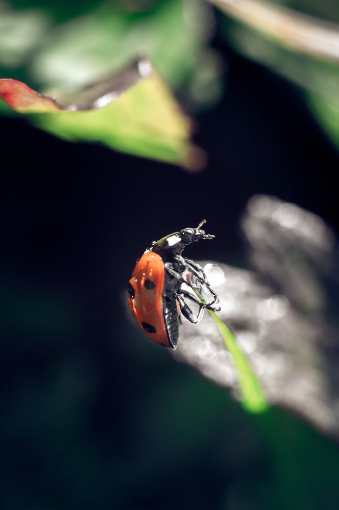 Photograph by Алексей Егорычев