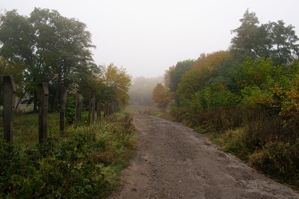 Photograph by Марина Голик