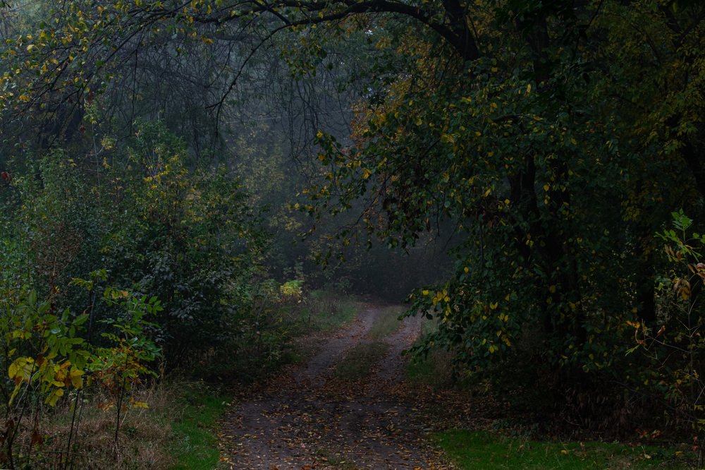 Photograph by Марина Голик