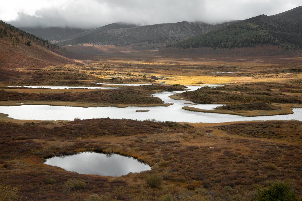 Photograph by Александр Нерозя