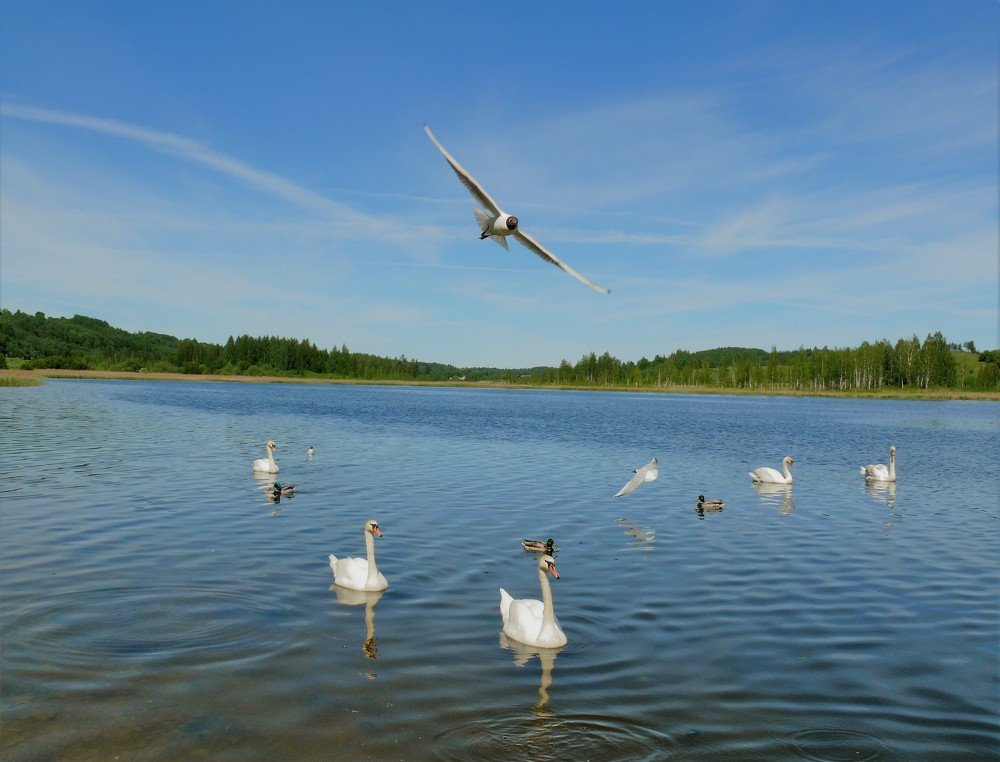 Photograph by Марина Игнатьева