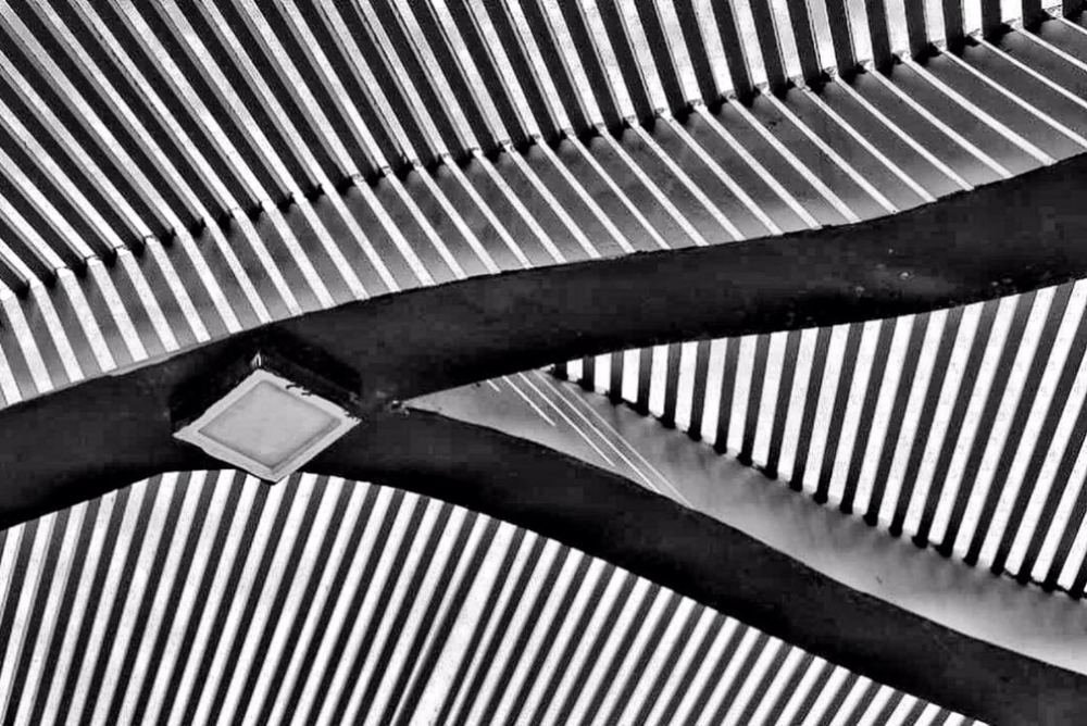 Фотография автора Sara Bahari