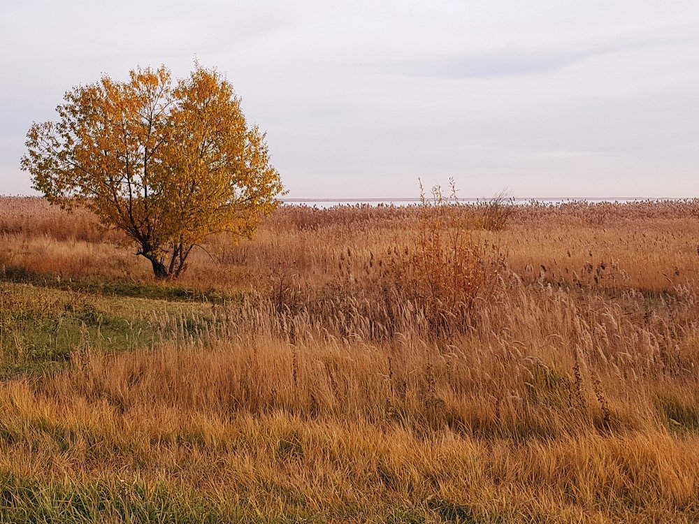 Photograph by Екатерина Емельянова