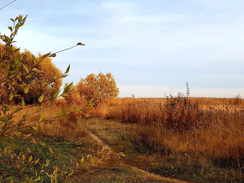 Photograph by Екатерина Емельянова