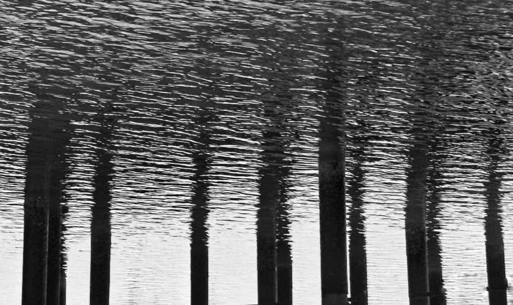 Фотография автора Sara Bahari