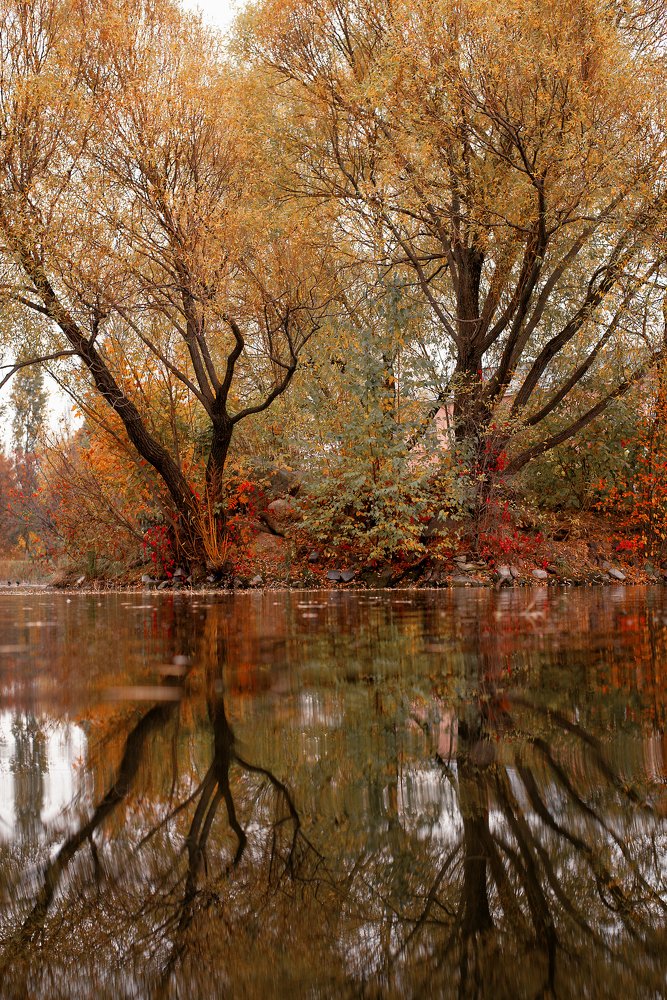 Photograph by Оксана Зверева