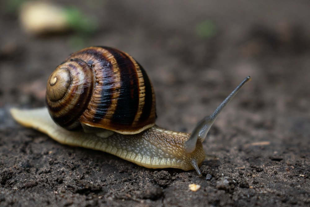 Photograph by Марина Голик