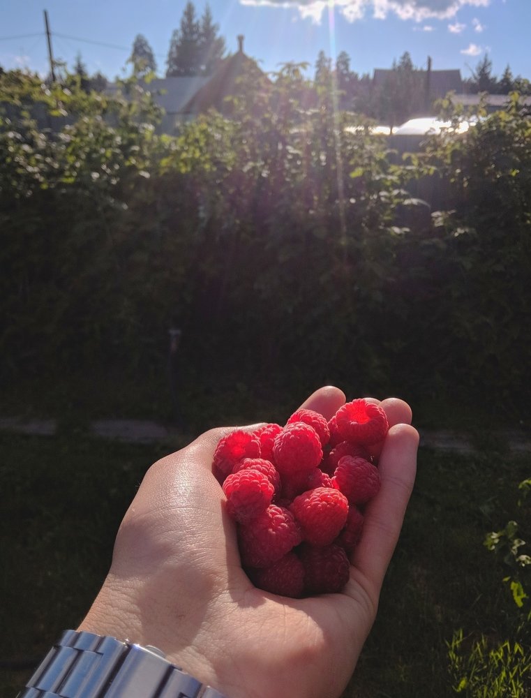 Photograph by Денис Пучков