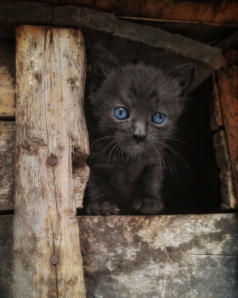 Photograph by Сергей Колос