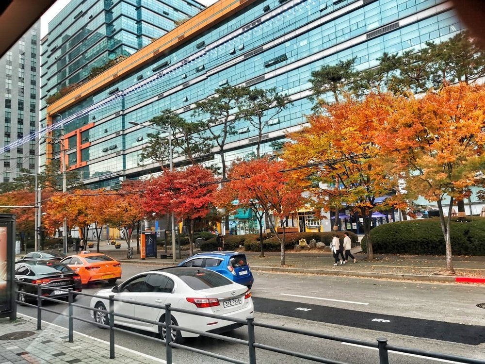 Autumn at Seoul