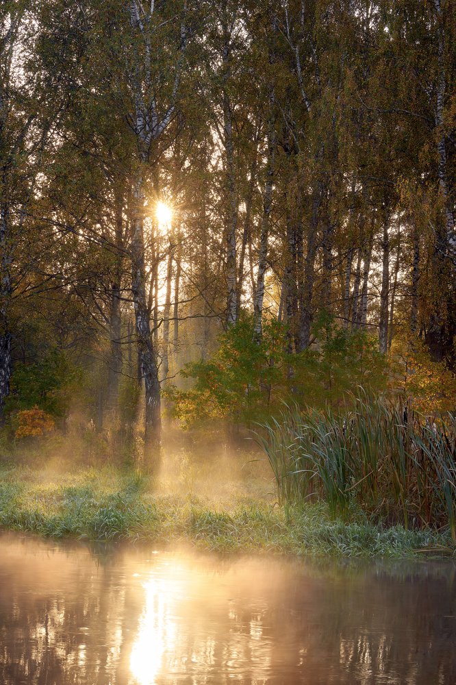 Утро на Клязьме