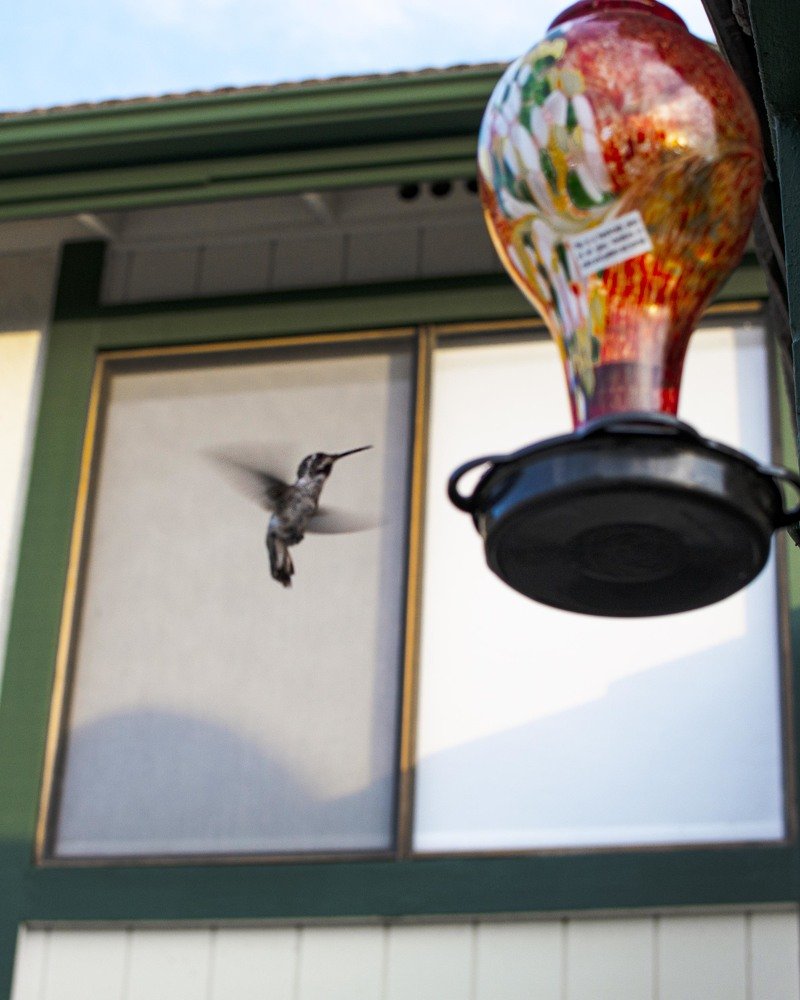 Photograph by Victoria Krasyuk