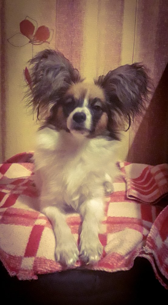 Photograph by Andrejs Peculevics